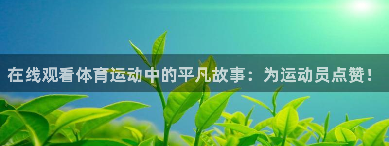 柠檬体育直播篮球：在线观看体育运动中的平凡故事：为运动员点赞！
