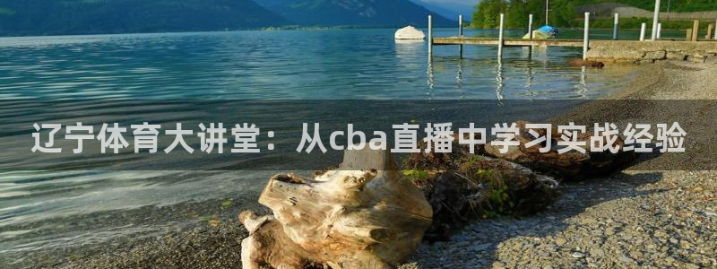 柠檬体育直播：辽宁体育大讲堂：从cba直播中学习实战经验
