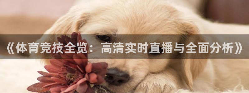 足球直播柠檬体育：《体育竞技全览：高清实时直播与全面分析》