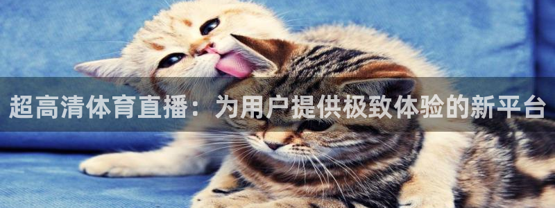柠檬体育在线直播：超高清体育直播：为用户提供极致体验的新平台